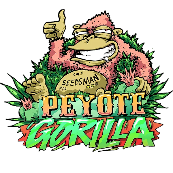 Peyote Gorilla | PHOTOFEM | Seedsman
