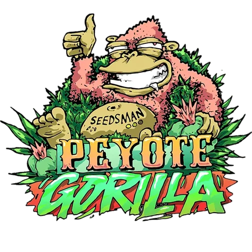 Peyote Gorilla