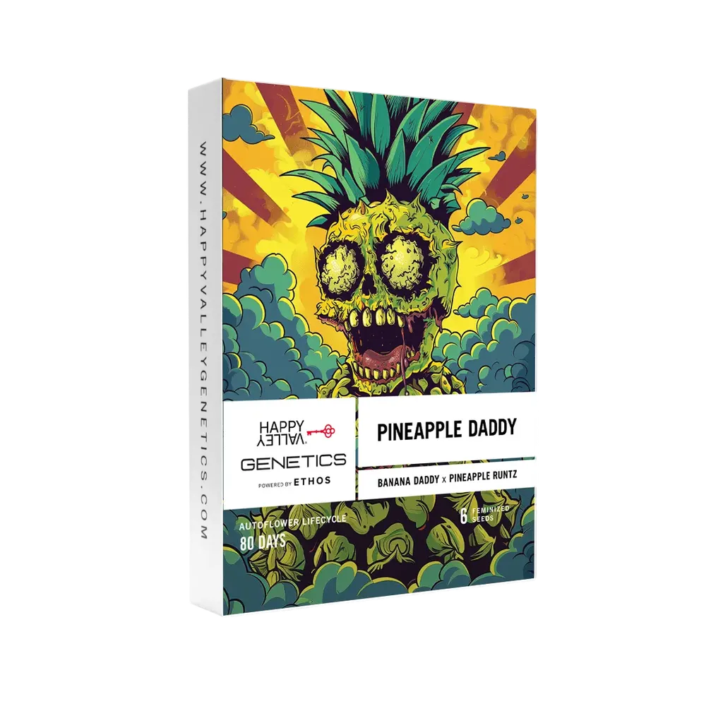 Pineapple Daddy Auto | AUTOFEM | Happy Valley Genetics