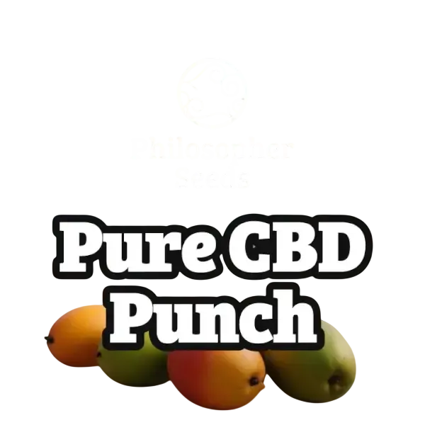 Pure CBD Punch | PHOTOFEM | Philosopher Seeds