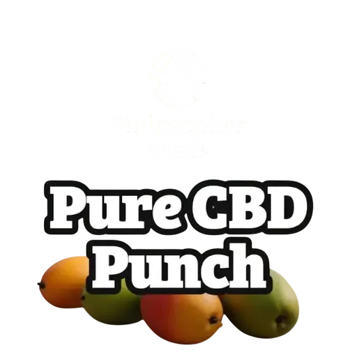 Pure CBD Punch