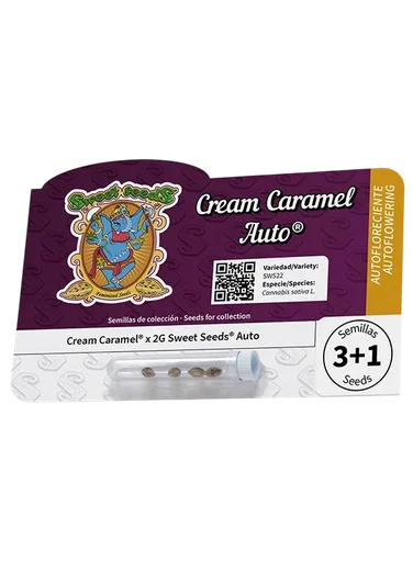 Cream Caramel Auto