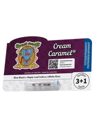 Cream Caramel