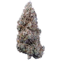 Crème Bubbly Auto