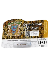 Crystal Candy XL Auto