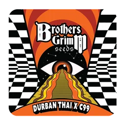 Durban Thai x C99