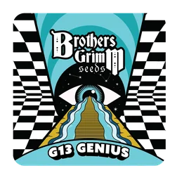 G13 Genius
