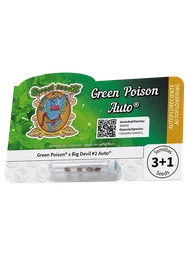 Green Poison Auto