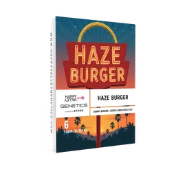 Haze Burger