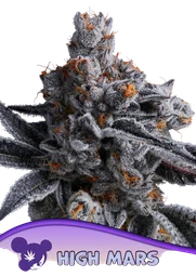 High Mars