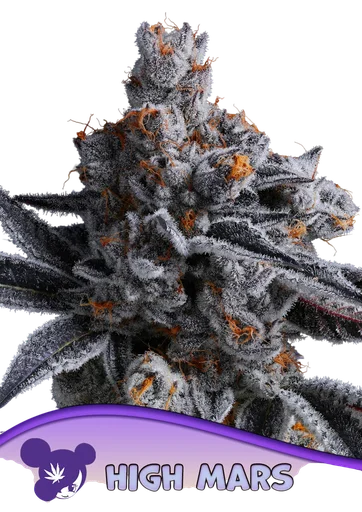 High Mars