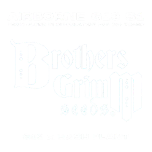 Airborne G13 S1