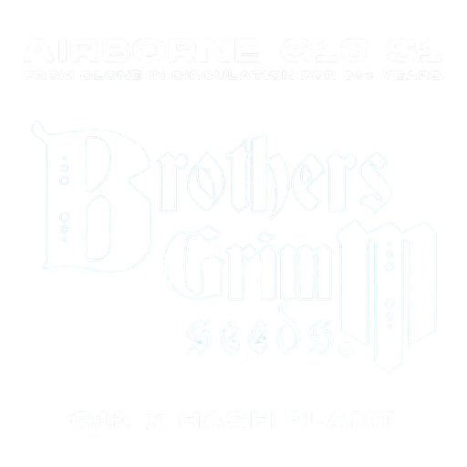 Airborne G13 S1