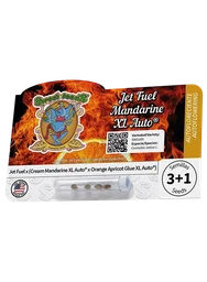 Jet Fuel Mandarine XL Auto