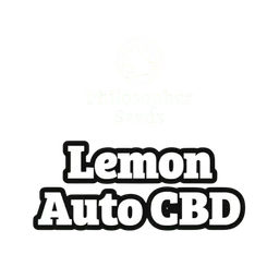 Lemon CBD Auto