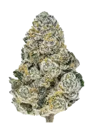 Lemonpaya