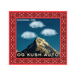 OG Kush Auto