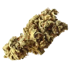 Pineapple Kush