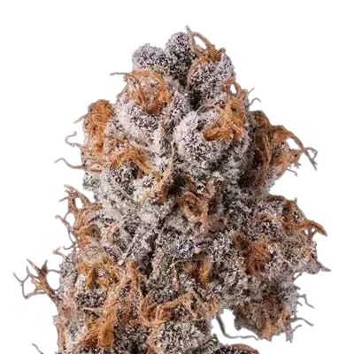 Platinum Valley