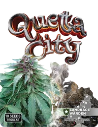 Quetta City