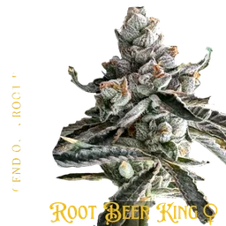 Root Beer King