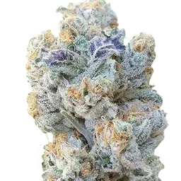 Slurricane
