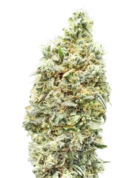 Strawberry Banana FAST