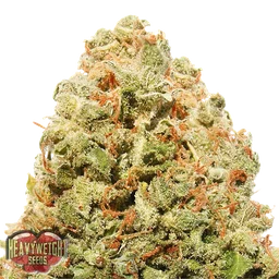 Strawberry Cake