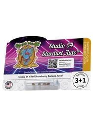 Studio 54 Stardust Auto