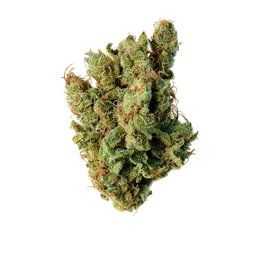 Super Silver Haze