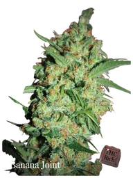 Banana Joint