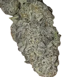 Zurple Punch BX