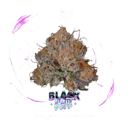 Black Light