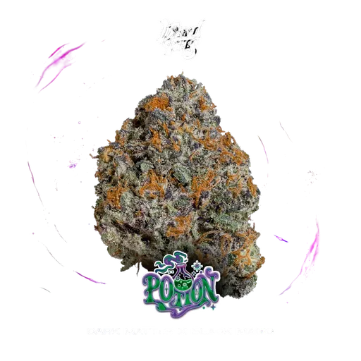 Potion