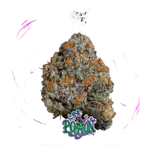 Potion