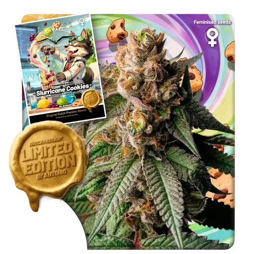 Slurricane Cookies
