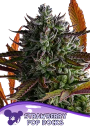 Strawberry Pop Rocks