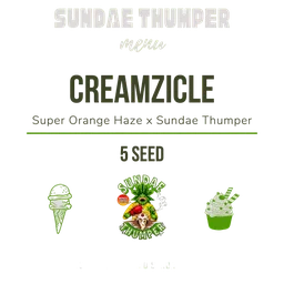 Creamzicle Auto