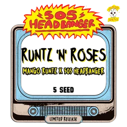 Runtz 'n' Roses Auto