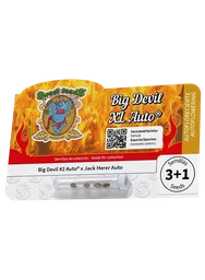 Big Devil XL Auto