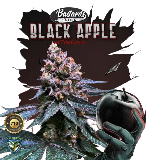 Black Apple Hitchcock