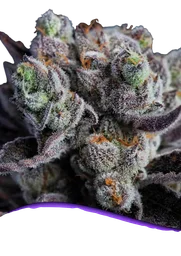 Blackberry Moonrocks
