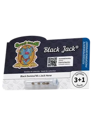 Black Jack