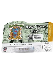 Bruce Banner Auto