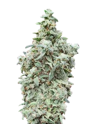 Cherry Pie FAST