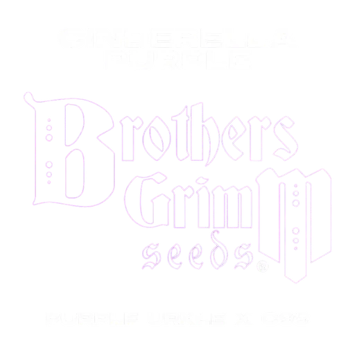 Cinderella Purple